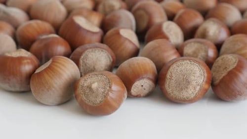 Whole Corylus avellana nuts close-up slow tilt 4K 2160p 30fps UltraHD footage - Organic hazelnuts on