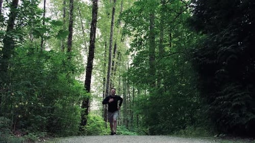 Fitness Broll Man Jogging Nature Forest Trail