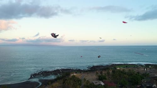 Kites Fly