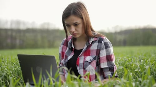 Woman Agronomist Working at Laptop in Green Wheat Field Smart Modern Agronomist