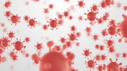 Covid-19 Virus