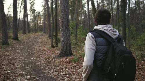 Junger Mann, der im Herbstwald spaziert und gutes Wetter genießt.