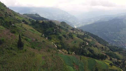 Picturesque Valley with Lush Vegetation Trees Rice Terraces and Winding Road