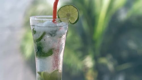 Close Up of Refreshing Mojito Tropical Drink