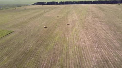 Drone Descends To Field with Packaged Hay Bales By Road