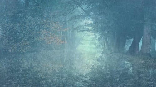 Cold weather, The rain fell on the river in the forest, Rain falls by the lake in dense woodland