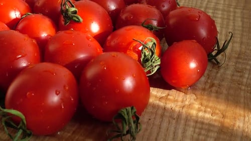 Tomates 6