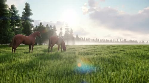 Two Brown Horses Grazing in a Lush Green Meadow at Sunrise