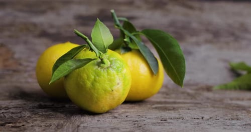 Ripe Citrus Fruits on Rustic Wooden Surface