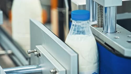 Milk Production at Factory