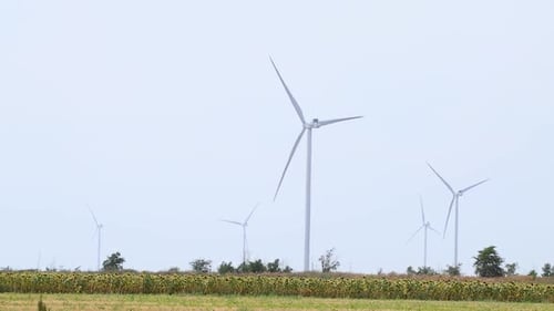 Wind generators rotate on grey sky in field