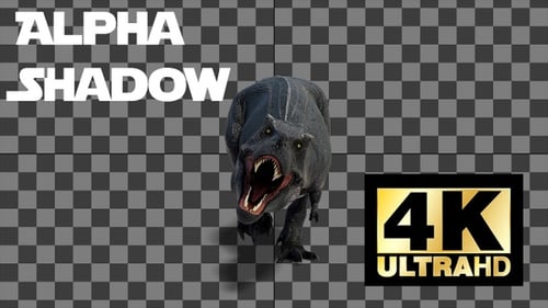 Dinosaur Tyrannosaurus Walk And Roar Loop With Alpha And Shadow Front View