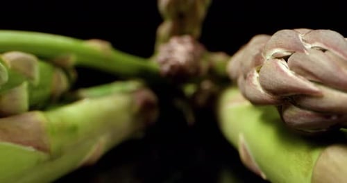 frischer Sommer Spargel Super Makro Nahaufnahme