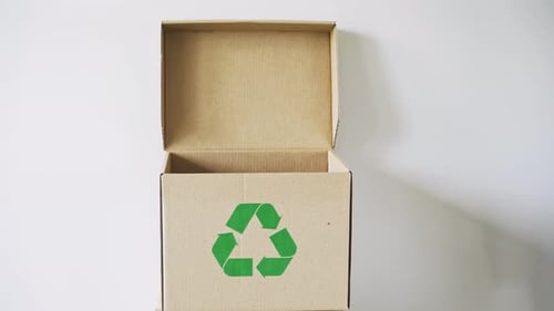Recycling Plastic in Cardboard Recycle Box