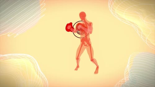 3D Human Anatomy Boxer Training for Health and Fitness