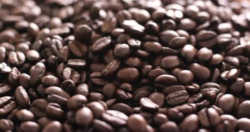 Coffee bean