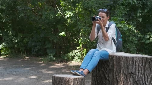 Take photo in the forest.