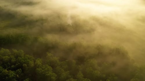 Morning Mist Over the Valley Among the Mountains in the Sunlight