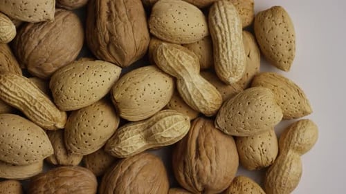 Nuts in Shell, Almonds, Walnuts, and Peanuts