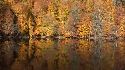 Herbstfarben über dem See