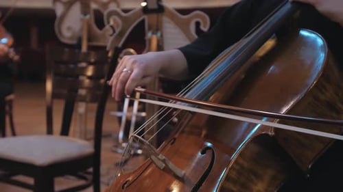 girl playing the cello in a beautiful room. repetition . The cellist is rehearsing. close-up
