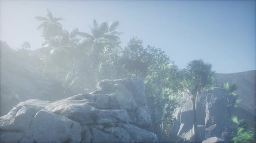 Tropical Forest Landscape with Rocky Cliffs and Foggy Mist