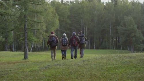Back View of Hikers Walking on Green Forest Lawn