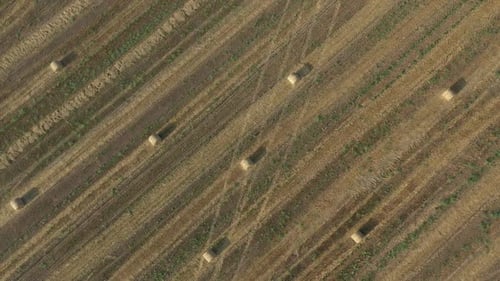 High above rolled bales of hay in the field 4K aerial video