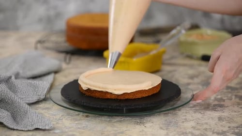 Girl Making a Cake in a Bakery. Baker Squeezes Cream Onto a Cake Layer.
