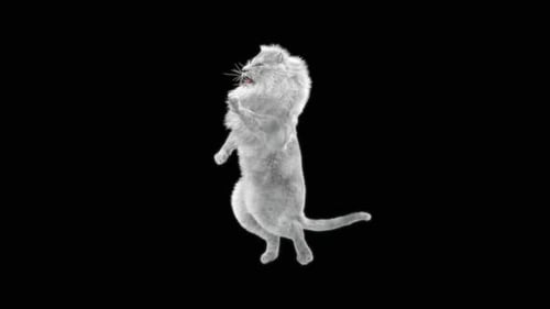 White Lion Dancing HD