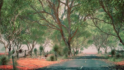 Open Road in Australia with Bush Trees
