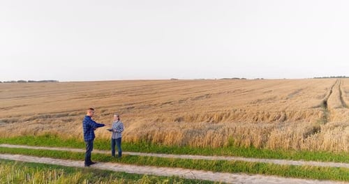 Young Farmers Discussing At Maize Field Agriculture