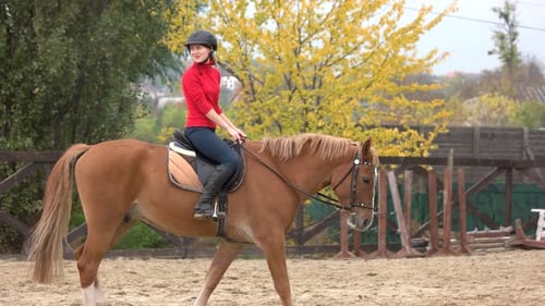 Jovem mulher feliz montando um cavalo