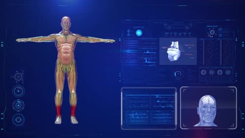 Humanmedizinische HUD-Animation 4K