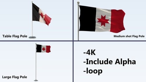 Realistic 3D Flag Waving on Pole with Alpha Channel