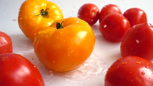 Fresh Juicy Tomatoes 13