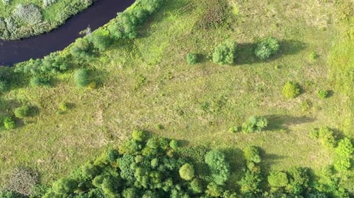 Aerial View From Drone on Summer Forest, Field and River