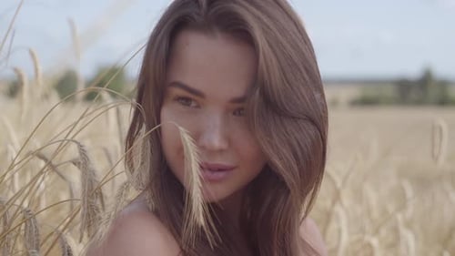 Portrait Carefree Woman Enjoying Nature and Sunlight in Wheat Field at Incredible Colorful Sun Rays