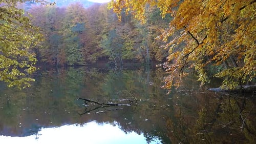 Peaceful Calm Lake in the Autumn Forest