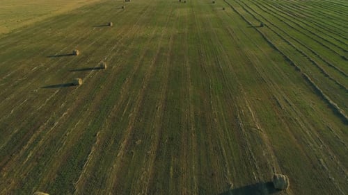 Aerial View Hay Bales at Agricultural Field in Summer at Sunset Haystack