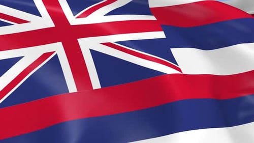 Hawaii Flag Waving Seamless Loop Animation
