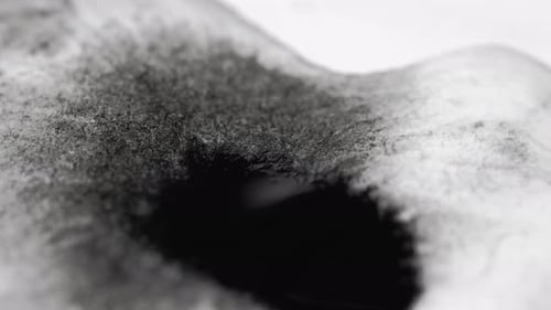 Ink Spatter Texture Wet Dirty Paper Black White