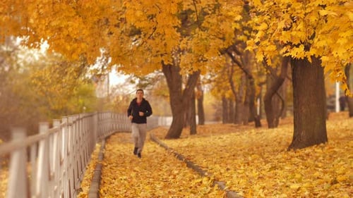 Man Runs Autumn Park