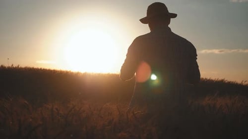 Young Handsome Farmer in Field Holds Smartphone. Farmer Using Smartphone Management on Farm.