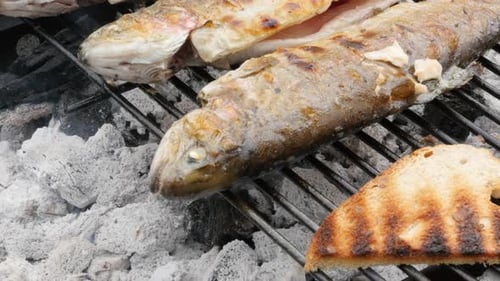 Frische Forellen auf dem Grill bereiten sich langsam vor mit geröstetem Brot 4K 2160p UltraHD-Aufnahmen - Barbecue Fire und