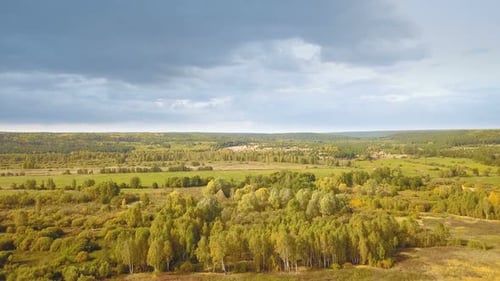 Wald, Landschaft, Natur