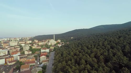 Stadt und Wald