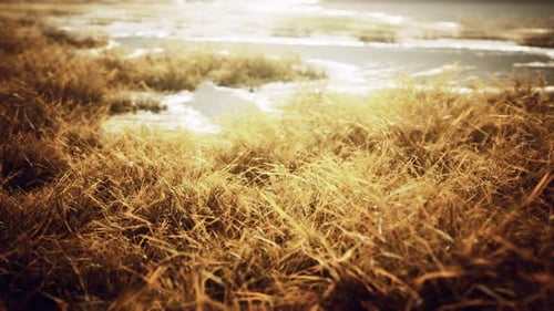 Grassland on Mountains in Autumn