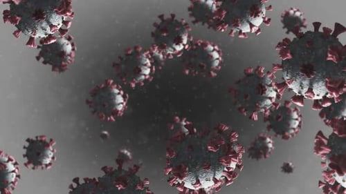 Animation of macro Coronavirus Covid-19 cells floating in a vein. 4k