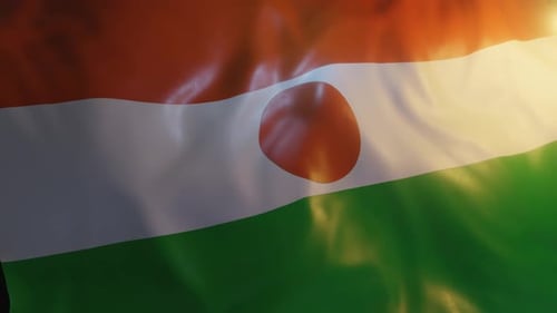 Niger-Flagge